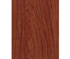 木纹彩涂钢板WF-WOODM05